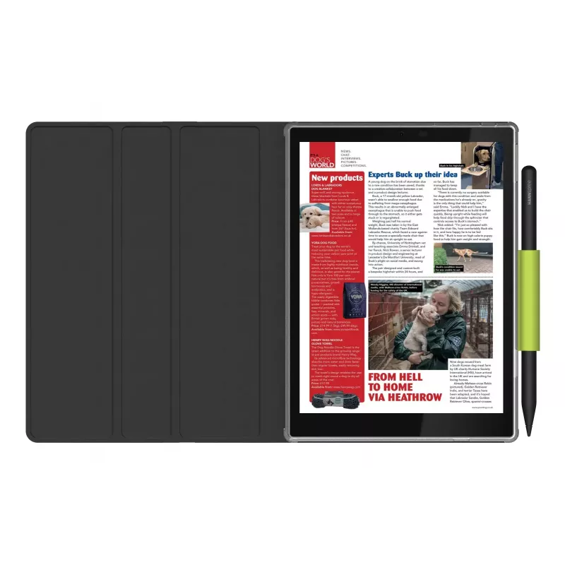 Hannspree Lumo 7.8 Reader Tablet 64 GB 19.8 cm (7.8 inch) Android Juoda
