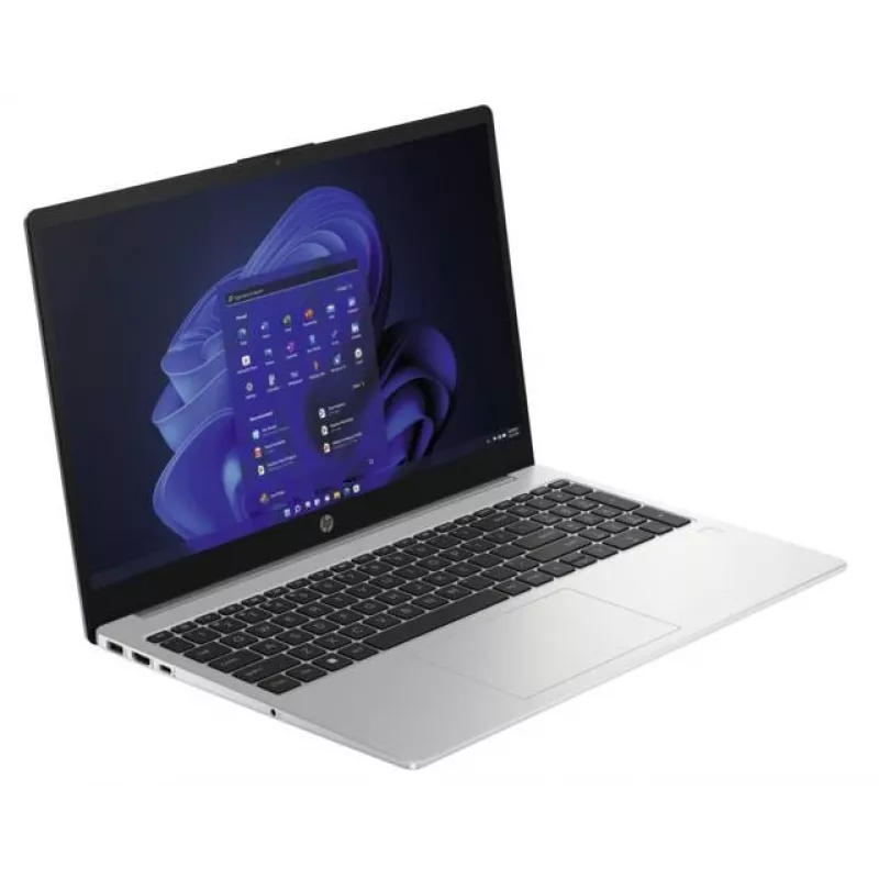 HP 250 G10 Intel® N N100 nešiojamas kompiuteris 39,6 cm (15,6 colių) Full HD 8 GB DDR4-SDRAM 256 GB SSD Wi-Fi 6 (802.11ax) Windows 11 Home sidabrinis