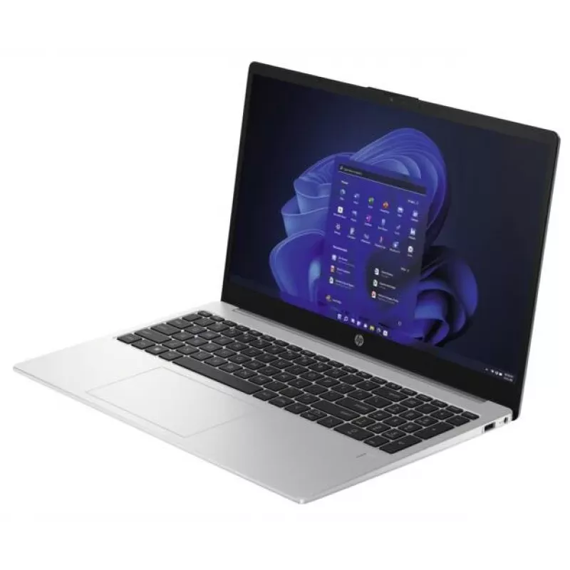 HP 250 G10 Intel® N N100 nešiojamas kompiuteris 39,6 cm (15,6 colių) Full HD 8 GB DDR4-SDRAM 256 GB SSD Wi-Fi 6 (802.11ax) Windows 11 Home sidabrinis