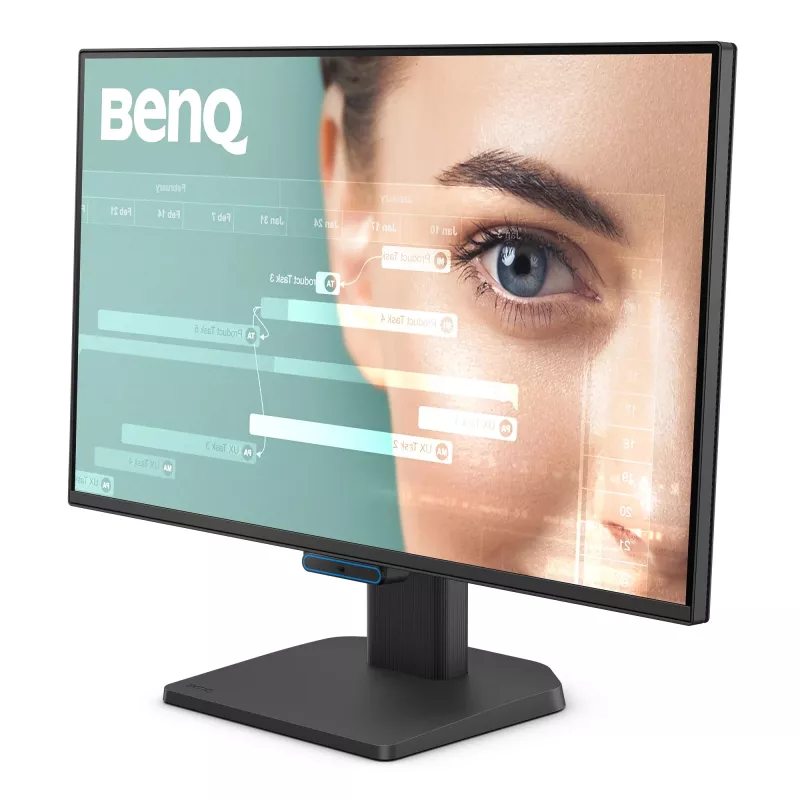 Kompiuterio monitorius BenQ GW2490C 23,8 col. (60,5 cm) Full HD 1920×1080 5 ms 178° VESA juodas su garsiakalbiais