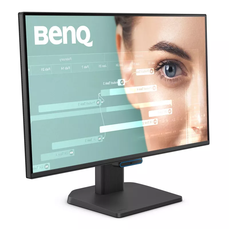 Kompiuterio monitorius BenQ GW2490C 23,8 col. (60,5 cm) Full HD 1920×1080 5 ms 178° VESA juodas su garsiakalbiais