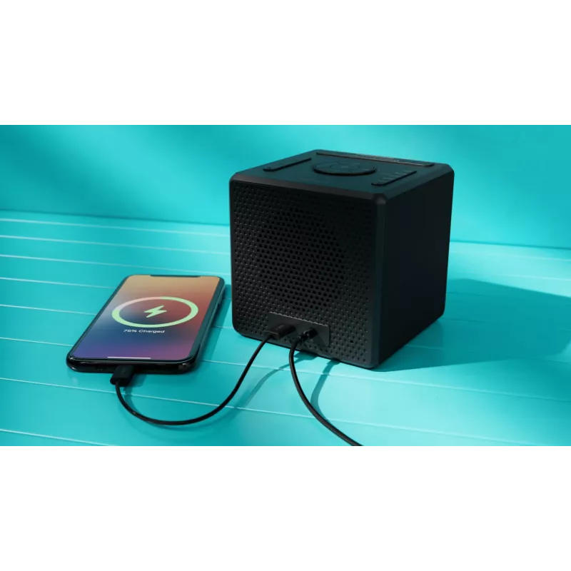 Skaitmeninis žadintuvas Philips TAR4600/10 juodas LCD maitinamas iš tinklo / baterijų
