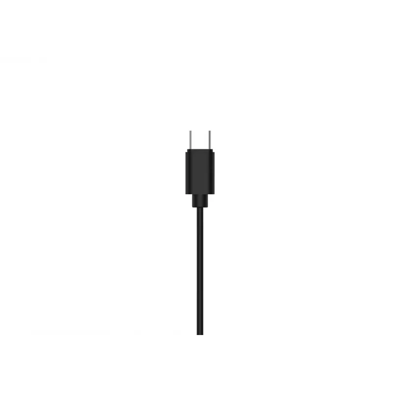 Philips TAE2146BK/00 ausinės / ausinės su mikrofonu Laidinės Į ausis įdedamos Skambučiai / muzika USB Type-C Juoda