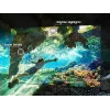 Samsung QE85QN85DBTXXH televizorius 2,16 m (85 colių) 4K Ultra HD išmanusis televizorius Wi-Fi sidabrinis