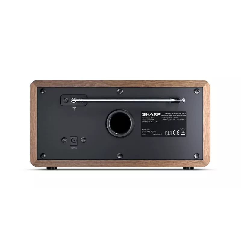 Sharp DR-450 Asmeninis skaitmeninis rudas, nerūdijantis plienas