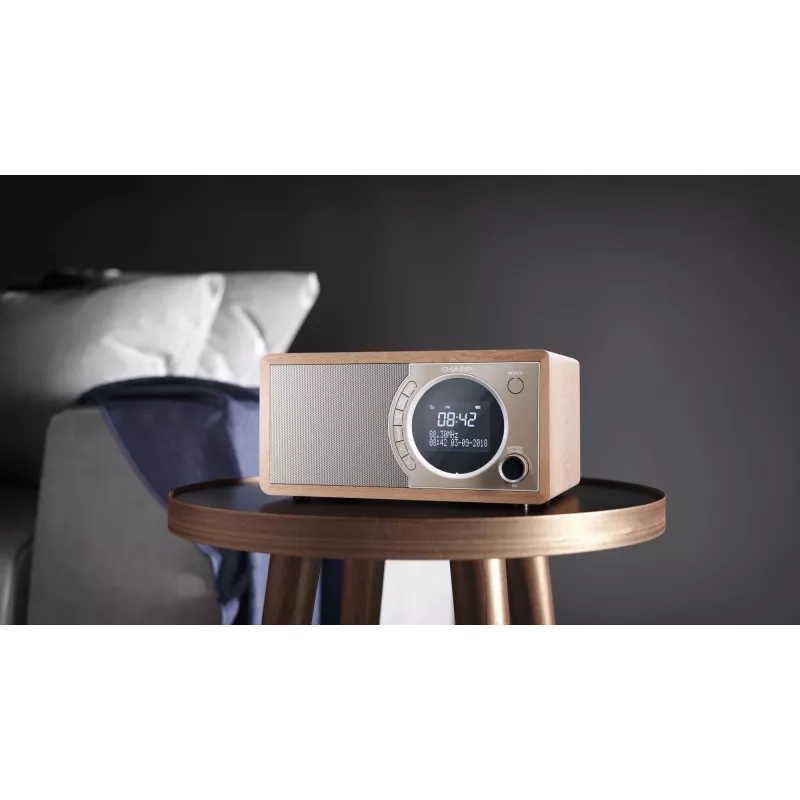 Sharp DR-450 Asmeninis skaitmeninis rudas, nerūdijantis plienas