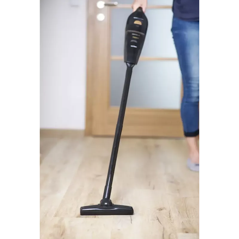 Rankinis dulkių siurblys Concept VP4353
