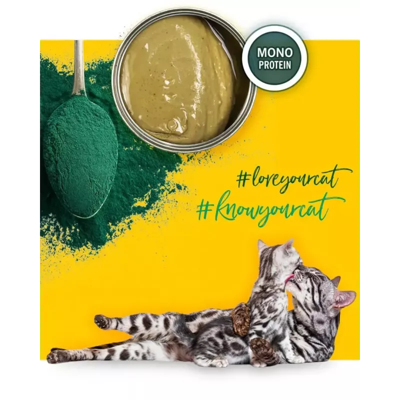Šlapias kačių maistas 3coty Vištiena su spirulina kačiukams ir žindančioms katėms 80 g, visavertis pašaras, 19 % baltymų, 8 % riebalų