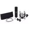 Studijinis mikrofonas Warm Audio WA-47JR Juoda
