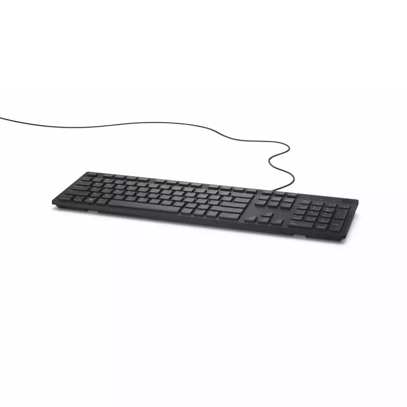 DELL KB216 klaviatūra Universali USB QWERTY US International Juoda
