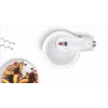 Bosch MFQ2600G rankinis plaktuvas su stovu ir dubeniu 375 W baltas