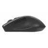ASUS WT425 pelė Biurui Dešiniarankiams RF Belaidis Optinė 1600 DPI
