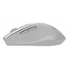 ASUS WT425 pelė Biuro Dešiniarankiams RF Belaidis Optinis 1600 DPI