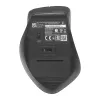 ASUS WT425 pelė Biuro Dešiniarankiams RF Belaidis Optinis 1600 DPI