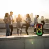 Garsiakalbių sistema BLAUPUNKT PB60X — 120W RMS, Bluetooth A2DP, FM, LED ekranas, 7000mAh baterija, 18 val., AUX, nuotolinis valdymas, 568×322×321 mm