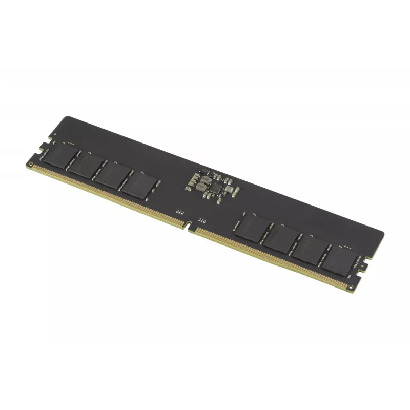 Goodram Pami DDR5 16GB/4800 CL40 - 16 GB atminties modulis 1 x 16 GB 288 kontaktų DIMM ECC