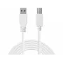 Sandberg USB 3.0 A-B laidas 1,8 m, 1,8 m, USB A, USB B, USB 3.2 Gen 1 (3.1 Gen 1), 5 Gbit/s, Balta