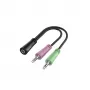Hama 00200351 garso kabelis 0,15 m 3,5 mm TRS 2 x 3,5 mm juodas