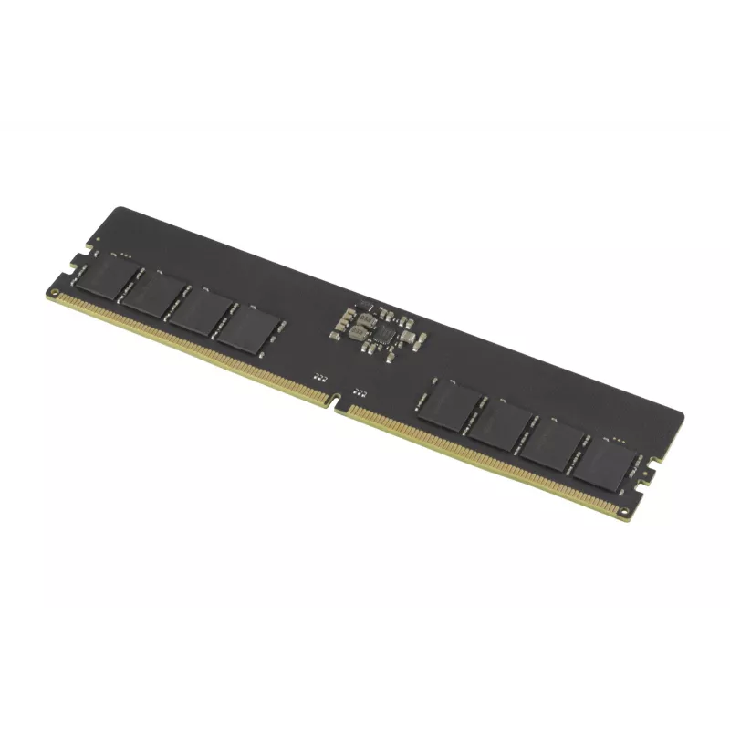 Goodram GR5600D564L46S/8G atminties modulis 8 GB 1 x 8 GB DDR5 288-pin DIMM