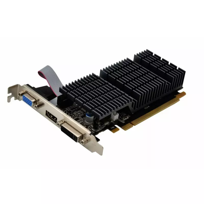 AFOX Radeon HD 6450 2GB DDR3 64 bitų DVI HDMI VGA Low Profile pasyvi vaizdo plokštė AF6450-2048D3L9-V2