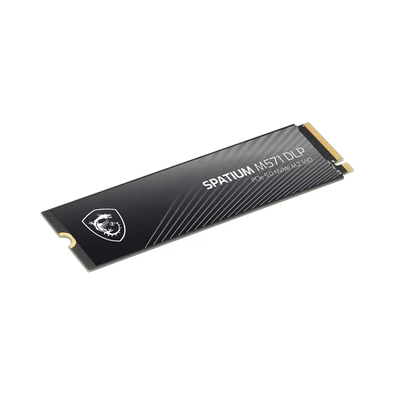 MSI SPATIUM M571 DLP PCIe 5.0 NVMe M.2 4T vidinis kietojo kūno diskas 4 TB PCI Express 5.0 3D NAND
