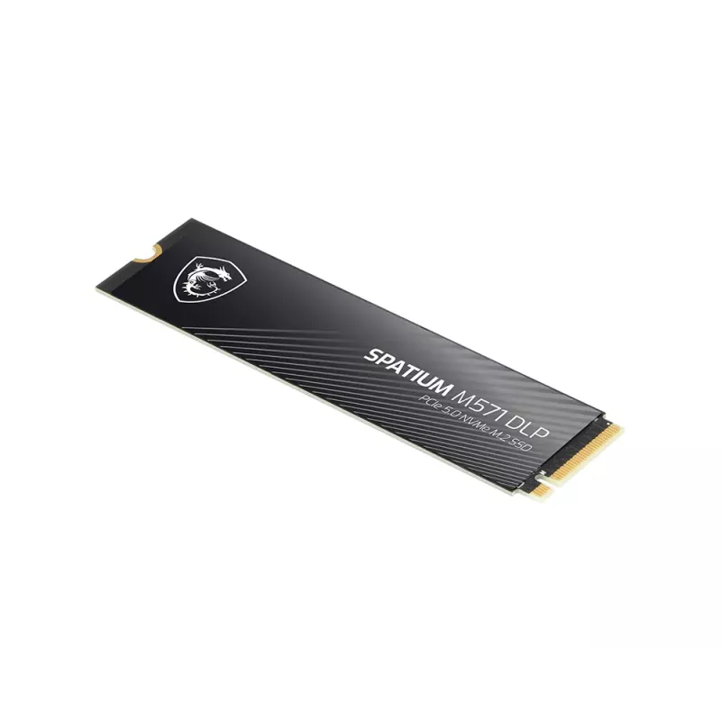 MSI SPATIUM M571 DLP PCIe 5.0 NVMe M.2 4T vidinis kietojo kūno diskas 4 TB PCI Express 5.0 3D NAND