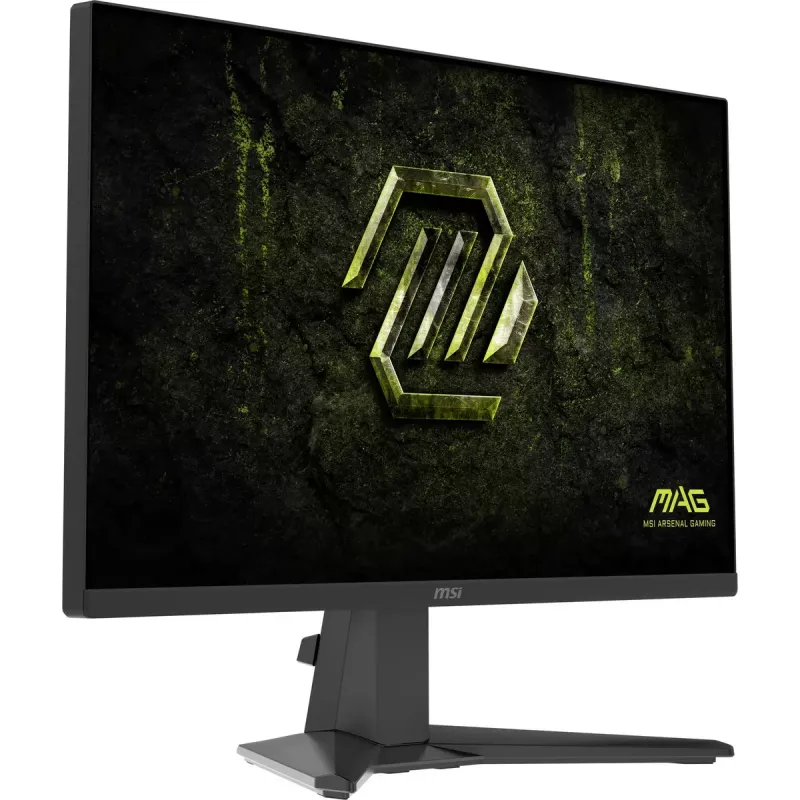 MSI MAG 245F X24 kompiuterio monitorius 60,5 cm (23,8 colių) 1920 x 1080 pikselių Full HD LCD juodas