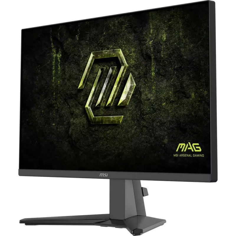 MSI MAG 245F X24 kompiuterio monitorius 60,5 cm (23,8 colių) 1920 x 1080 pikselių Full HD LCD juodas
