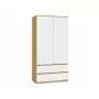 Spinta top e shop MALWA SS-90, 900×500×1800 mm, amatinio ąžuolo rėmas, baltos varstomos durys, 2 stalčiai, medžio drožlių plokštė