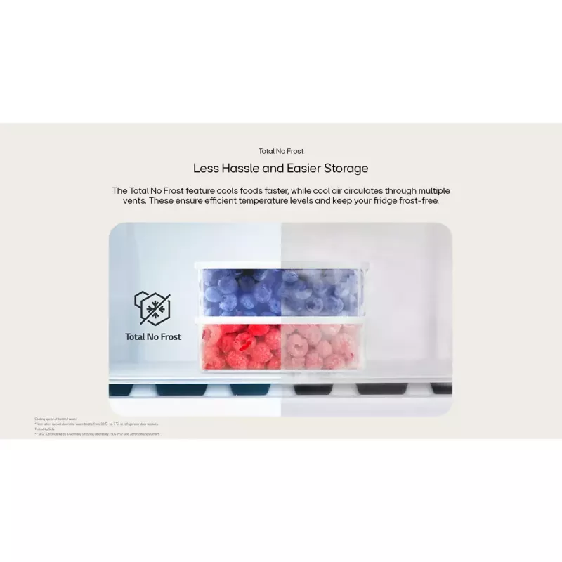 Šaldytuvas Side-by-side LG GSGV81PYLL, 635 L bendra talpa, šaldytuvas 416 L, šaldiklis 219 L, metalinė sidabrinė