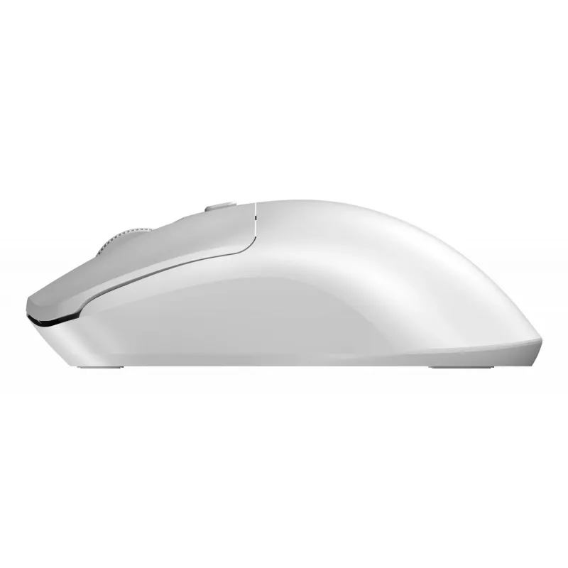 „Sandberg Wireless pelė Saver“ belaidė pelė, balta, abiem rankoms tinkama, 1600 DPI