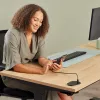 Fellowes 100137177 maitinimo prailgintuvas 2 m 1 kintamosios srovės lizdas (-ų) Vidaus Juoda