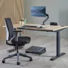 Fellowes 100137182 maitinimo ilgintuvas 2 m 2 kintamosios srovės lizdų (-ai) Vidaus juoda