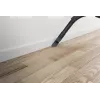 Hoover HP105HM 011 2 L cilindrinis dulkių siurblys Sausas 700 W Be maišelio