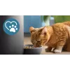 Automatinis gyvūnų šėryklos „Philips 5000 series PAW5320/02“ su kamera, 4,5 l maisto ir vandens talpa, plastikinis korpusas, naudojimui patalpoje
