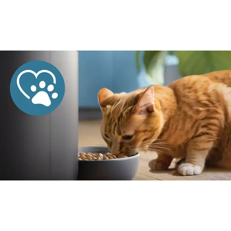 Automatinis gyvūnų šėryklos „Philips 5000 series PAW5320/02“ su kamera, 4,5 l maisto ir vandens talpa, plastikinis korpusas, naudojimui patalpoje