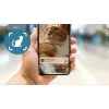 Automatinis gyvūnų šėryklos „Philips 5000 series PAW5320/02“ su kamera, 4,5 l maisto ir vandens talpa, plastikinis korpusas, naudojimui patalpoje