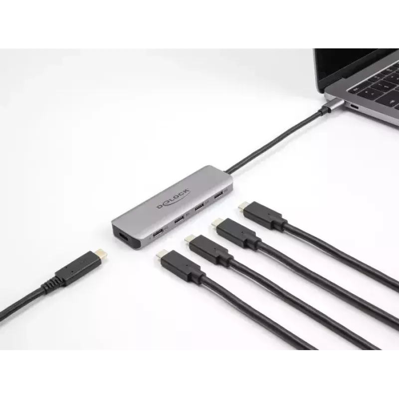 DeLOCK USB šakotuvas 5 Gbps 4 prievadai USB Type-C pilkas metalinis