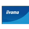 27 col. IIYAMA ProLite XB2796QSC-B1 IPS Quad HD 2560x1440 LED monitorius, 4 ms, USB-C, garsiakalbiai, reguliuojamas aukštis, VESA
