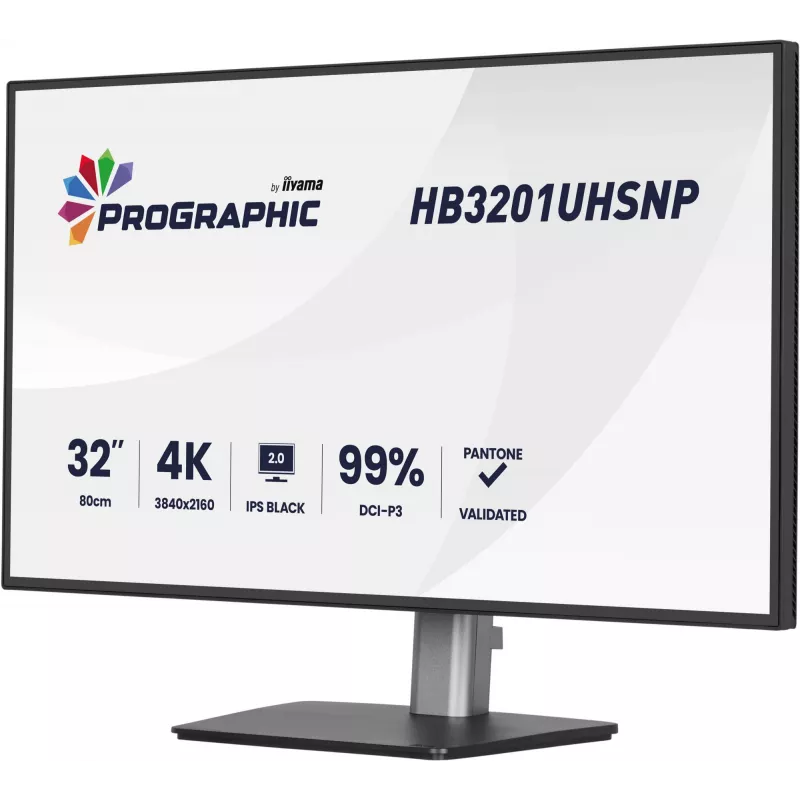 IIYAMA 32 colių ProGraphic HB3201UHSNP-B1 4K UHD IPS LCD monitorius su USB-C ir DisplayPort