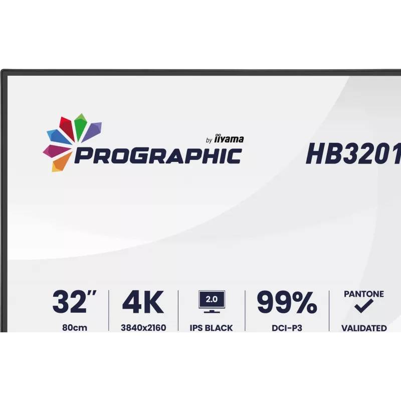 IIYAMA 32 colių ProGraphic HB3201UHSNP-B1 4K UHD IPS LCD monitorius su USB-C ir DisplayPort