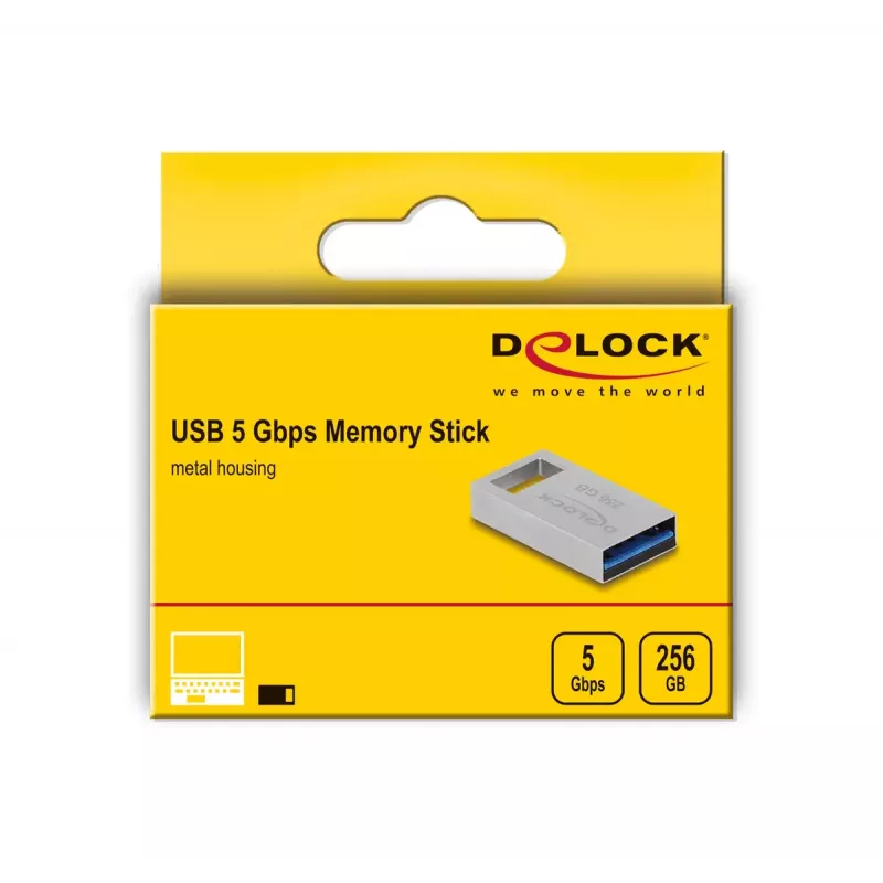 USB atmintinė DeLOCK 256 GB USB Type-A 3.2 Gen 1 54006