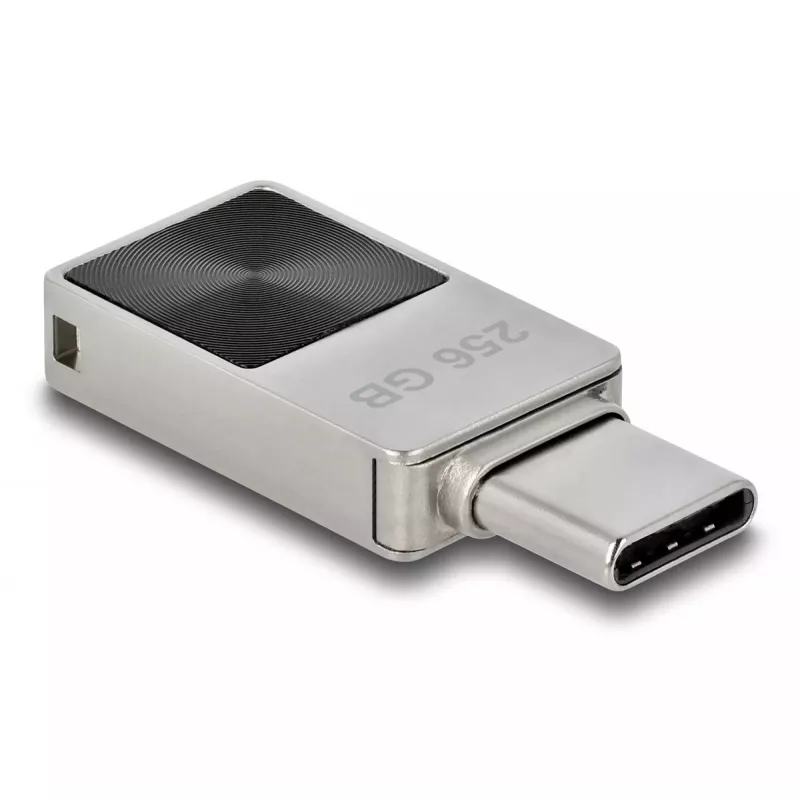 USB atmintinė DeLOCK 256GB USB-C 3.2 Gen 1 metalinis korpusas