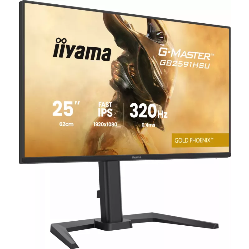 Žaidimų monitorius IIYAMA G-Master GB2591HSU-B1 24,5 col. (68,6 cm) Full HD — HDMI/DisplayPort/USB, juodas