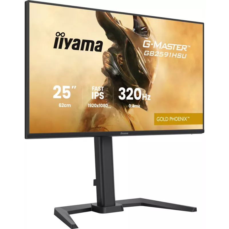 Žaidimų monitorius IIYAMA G-Master GB2591HSU-B1 24,5 col. (68,6 cm) Full HD — HDMI/DisplayPort/USB, juodas