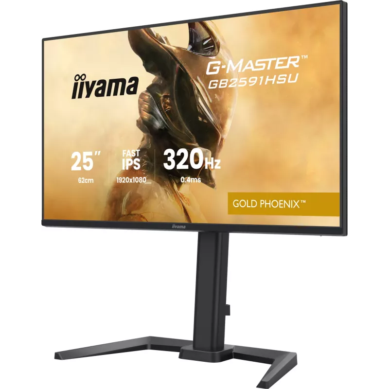 Žaidimų monitorius IIYAMA G-Master GB2591HSU-B1 24,5 col. (68,6 cm) Full HD — HDMI/DisplayPort/USB, juodas