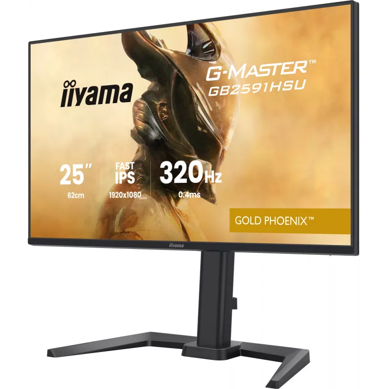Žaidimų monitorius IIYAMA G-Master GB2591HSU-B1 24,5 col. (68,6 cm) Full HD — HDMI/DisplayPort/USB, juodas