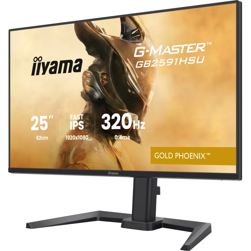 Žaidimų monitorius IIYAMA G-Master GB2591HSU-B1 24,5 col. (68,6 cm) Full HD — HDMI/DisplayPort/USB, juodas