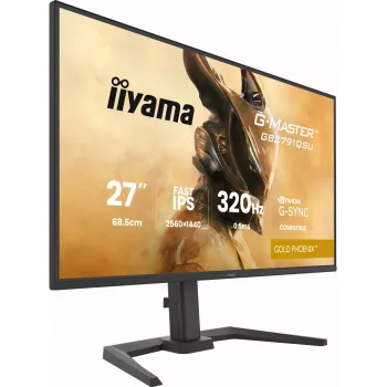 Žaidimų monitorius IIYAMA GB2791QSU-B1 27 colių (68,6 cm) QHD su HDMI, DisplayPort ir USB, juodas