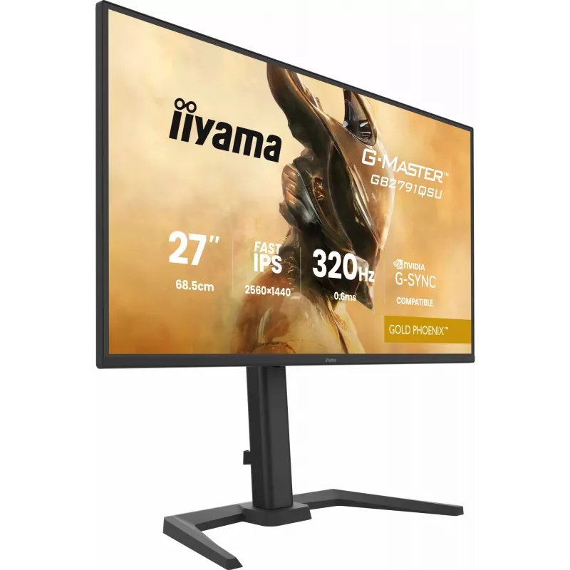 Žaidimų monitorius IIYAMA GB2791QSU-B1 27 colių (68,6 cm) QHD su HDMI, DisplayPort ir USB, juodas